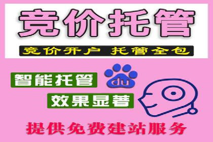 深入解析SEM竞价优化的核心技术与案例